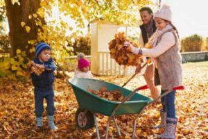 fall family